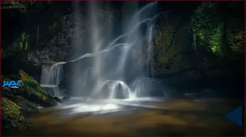 تحديث جديد حول تأثير الزيارة الميدانية على أهلية حساب المواطن.. ما الذي تغير؟